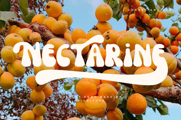 Nectarine: A Cool Retro Display Font
